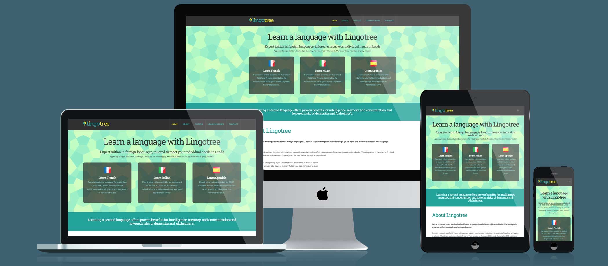 Lingotree website responsive displays